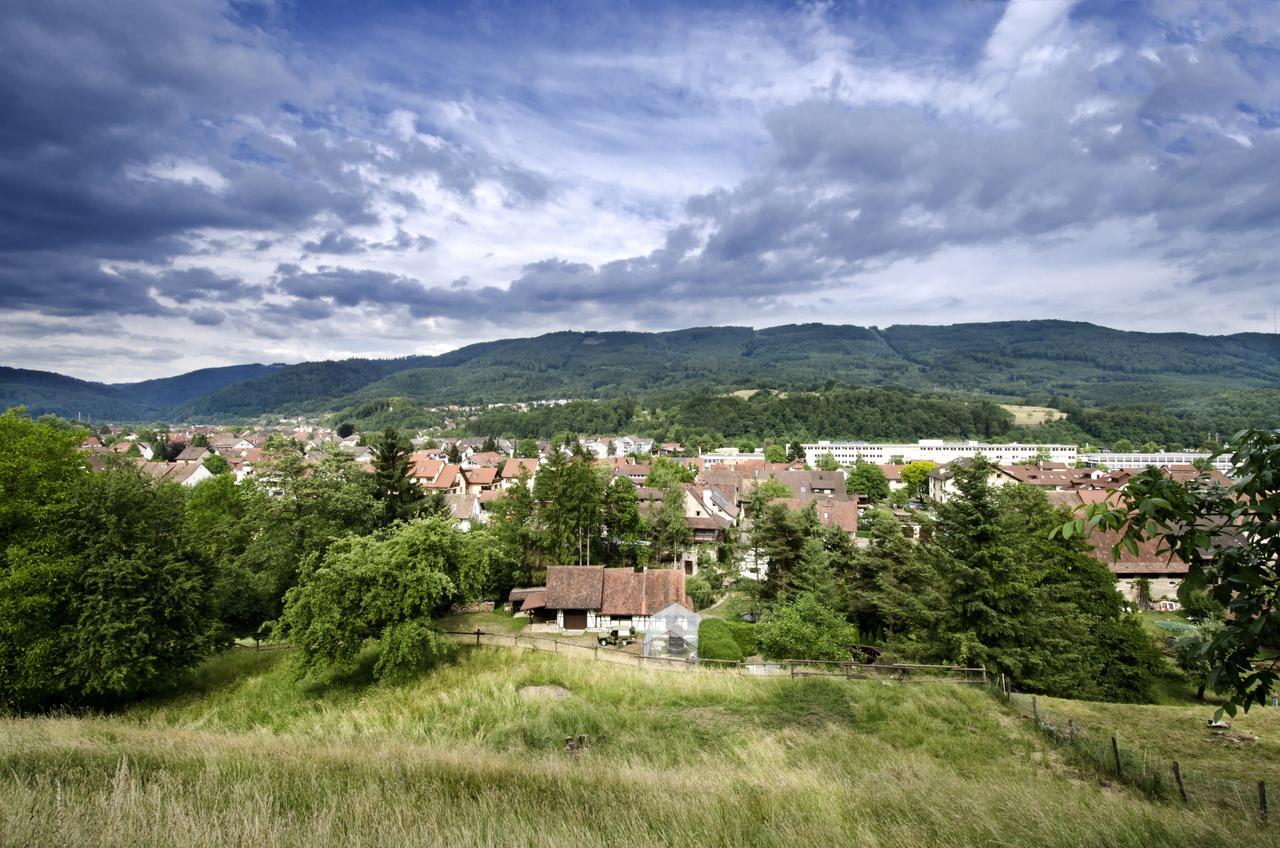 Landgasthof Zur Sonne Wehr  Ngoại thất bức ảnh